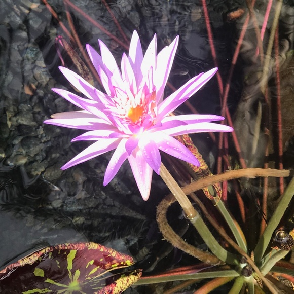 Meet your Posher, Jill - Picture 1 of 1